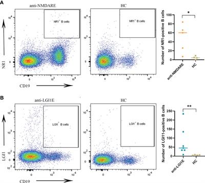 Comprehensive B-Cell Immune Repertoire Analysis of Anti-NMDAR Encephalitis and Anti-LGI1 Encephalitis